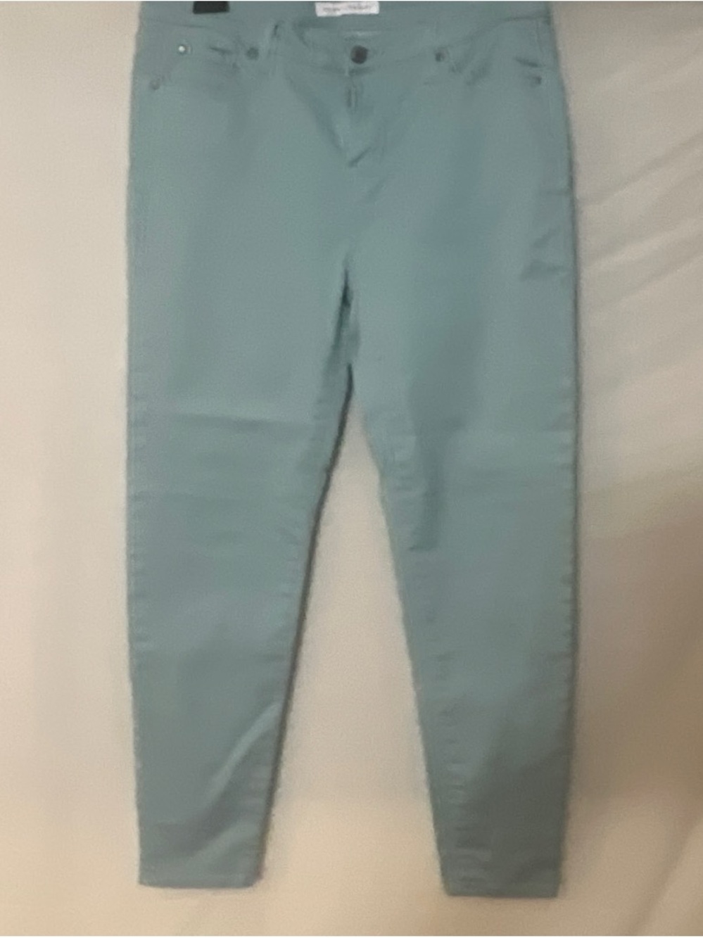 Women's Skinny Ankle Pants in Light Teal